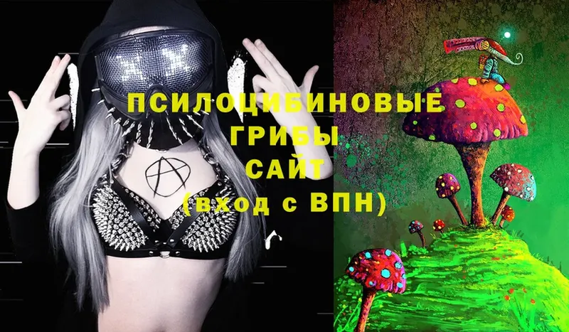 Псилоцибиновые грибы Cubensis  мега сайт  Вологда 